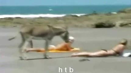 Geile video hentai hardcore echtgenoot geeft ochtend pijpbeurt aan haar geliefde echtgenoot